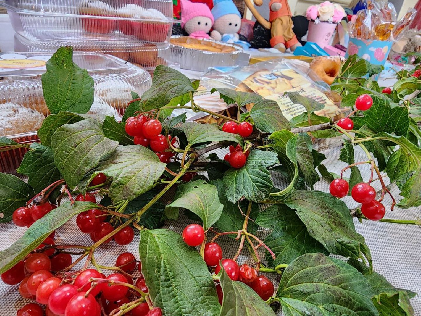можайск, можайский городской округ, подмосковье, спецоперация, сво, гумпомощь, благотворительная ярмарка, сбор средств, дошкольные учреждения, детские сады округа,мы вместе, вместе мы сможем все,
