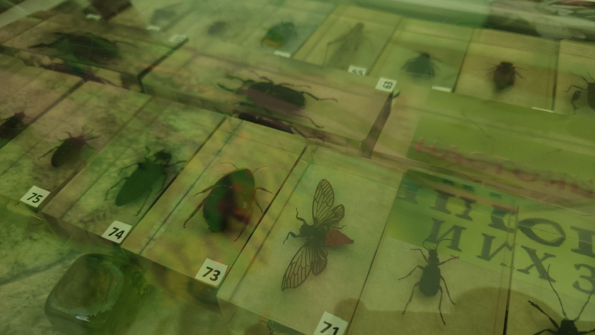 детский сад, воспитатель, дети, образование, Лосино-Петровский,