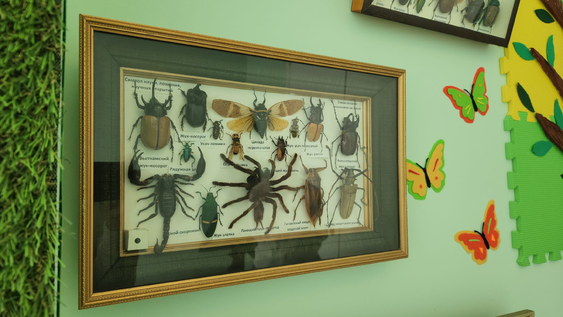 детский сад, воспитатель, дети, образование, Лосино-Петровский,