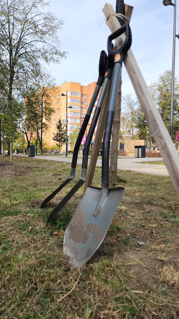 жкх, жкх и благоустройство, жкх подмосковья, экология, акция, акция день в лесу, сохраним лес вместе, глава администрации, глава городского округа Электросталь, юнармейцы, юнармия,