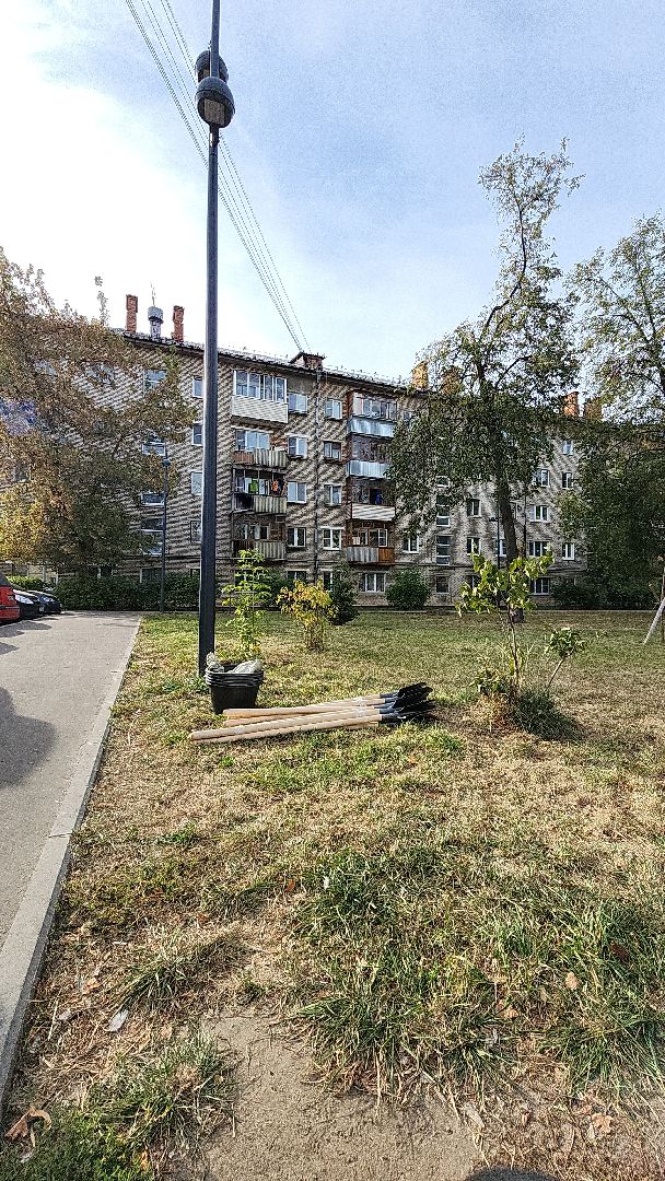 жкх, жкх и благоустройство, жкх подмосковья, экология, акция, акция день в лесу, сохраним лес вместе, глава администрации, глава городского округа Электросталь, юнармейцы, юнармия,