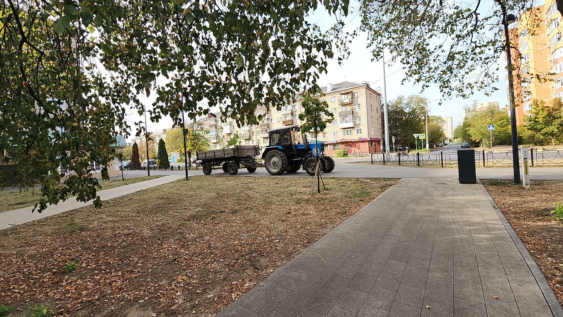 жкх, жкх и благоустройство, жкх подмосковья, экология, акция, акция день в лесу, сохраним лес вместе, глава администрации, глава городского округа Электросталь, юнармейцы, юнармия,