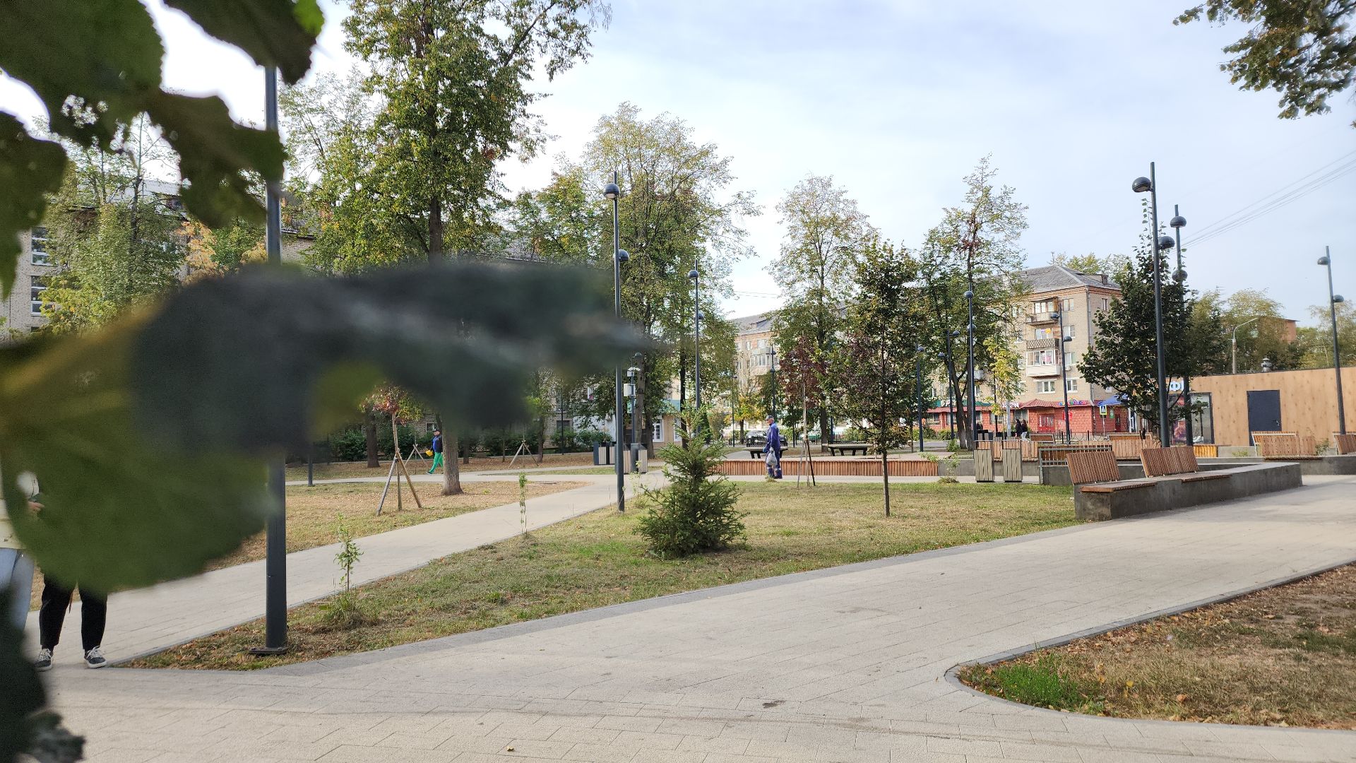 жкх, жкх и благоустройство, жкх подмосковья, экология, акция, акция день в лесу, сохраним лес вместе, глава администрации, глава городского округа Электросталь, юнармейцы, юнармия,