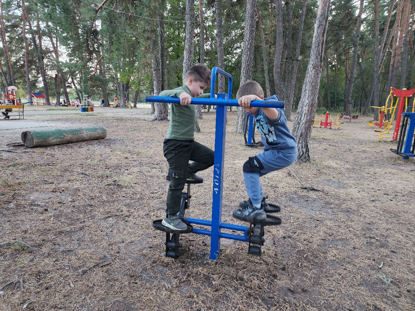 серпухов, подмосковье, стадион спартак, тренажерная площадка,