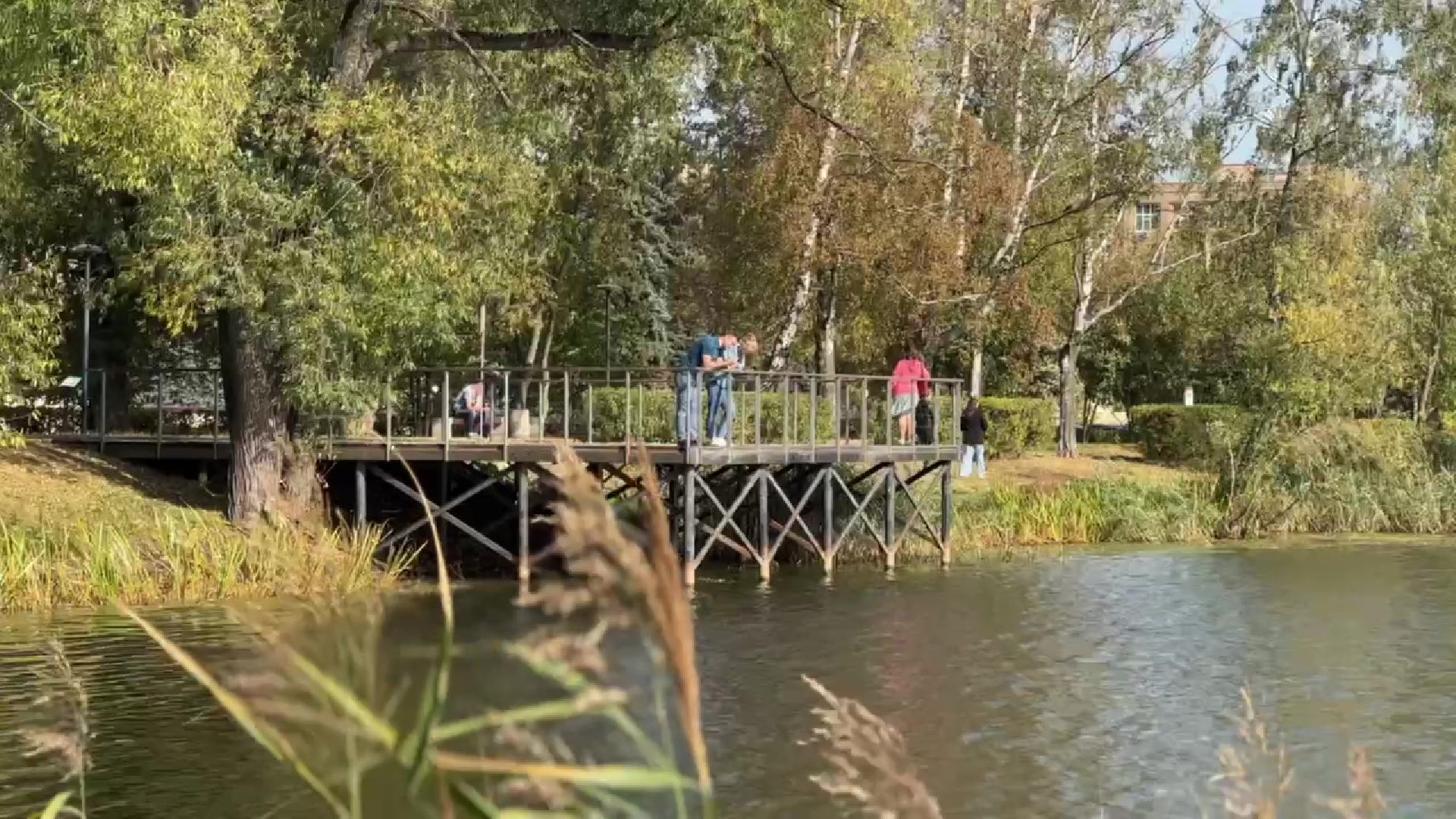 Реутов, парки, лето в Подмосковье, активности, мастер-классы, посетители,