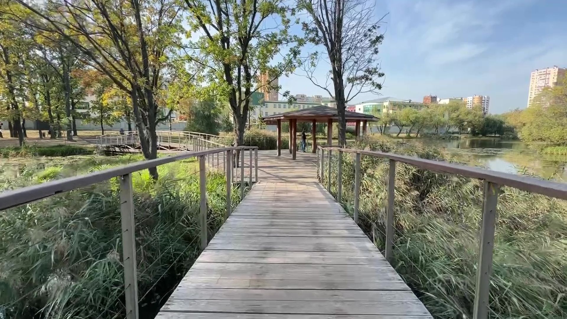 Реутов, парки, лето в Подмосковье, активности, мастер-классы, посетители,