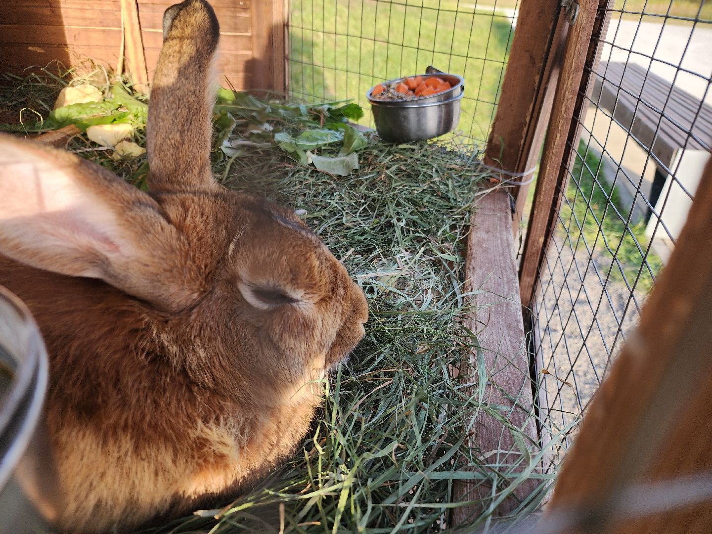 парки подмосковья, ликино-дулево, орехово-зуевский округ,