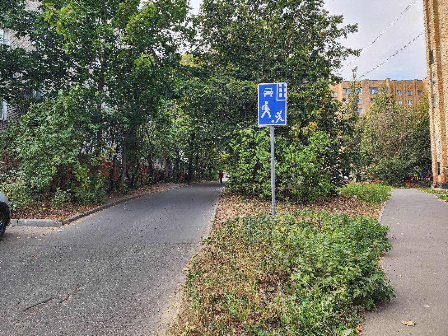 красноармейск, городской округ пушкинский, выездная администрация, безопасные дороги,