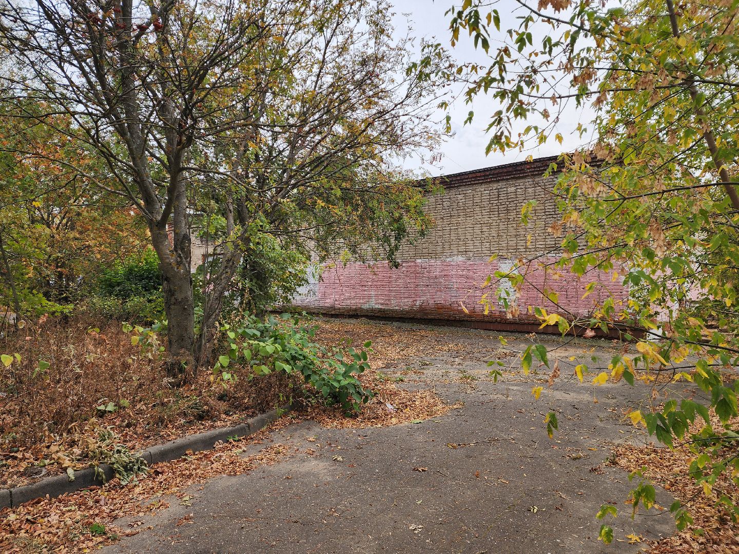 красноармейск, городской округ пушкинский, выездная администрация, развитие спорта,