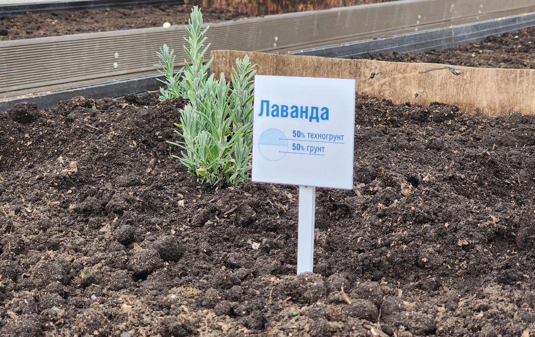 Солнечногорск, экология, КПО Нева, мусор, аграрный эксперимент,