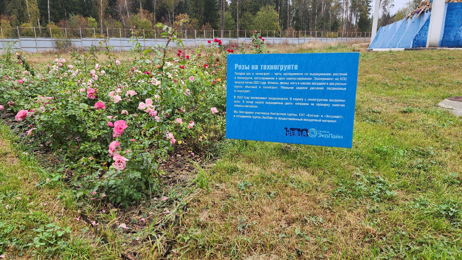 Солнечногорск, экология, КПО Нева, мусор, аграрный эксперимент,