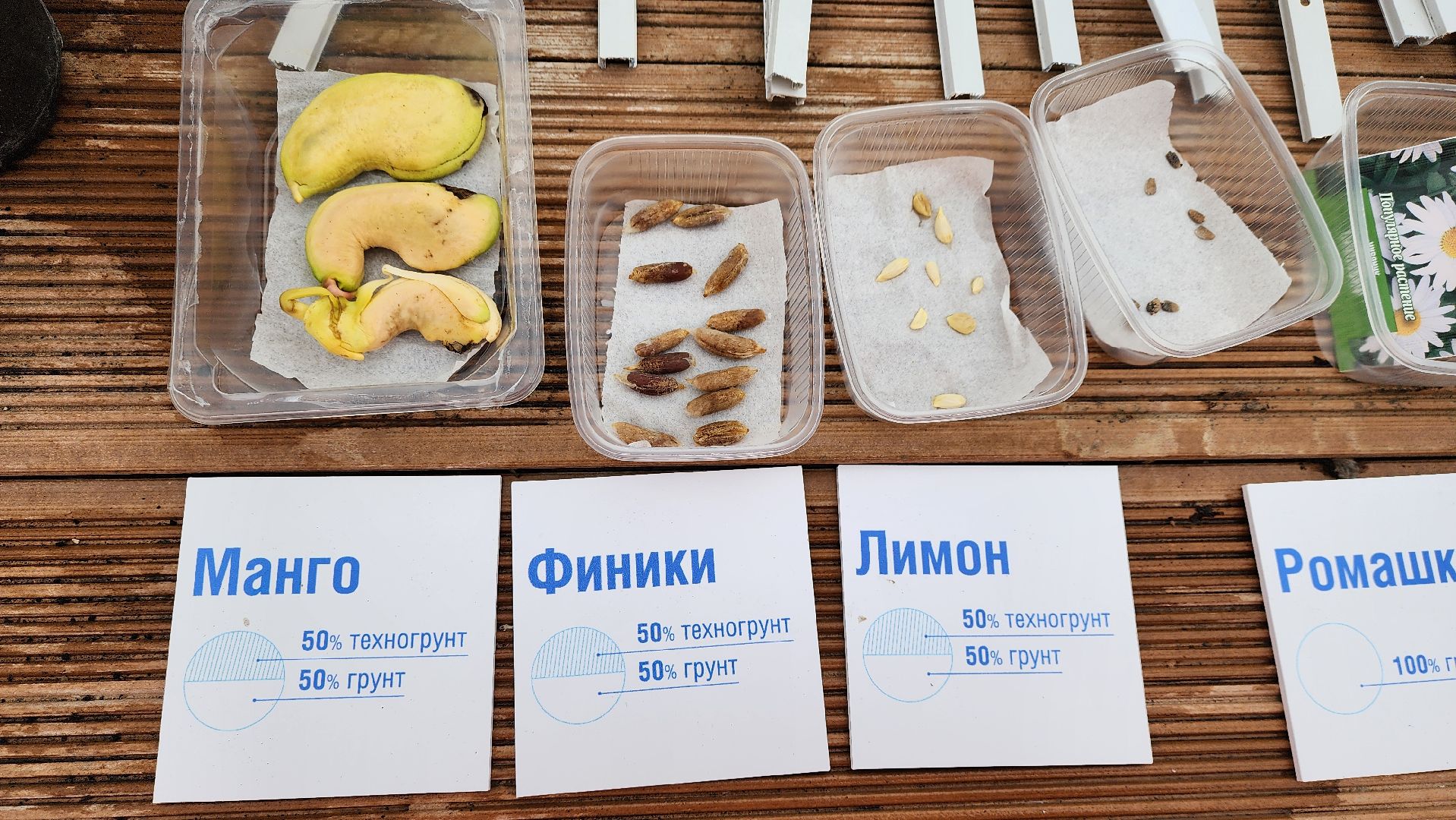 Солнечногорск, экология, КПО Нева, мусор, аграрный эксперимент,