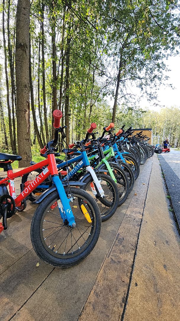 парк, парк авангард, электросталь, культура, культура и туризм в подмосковье, летний сезон, осеньвпарке, благоустройство, благоустройство 2024,