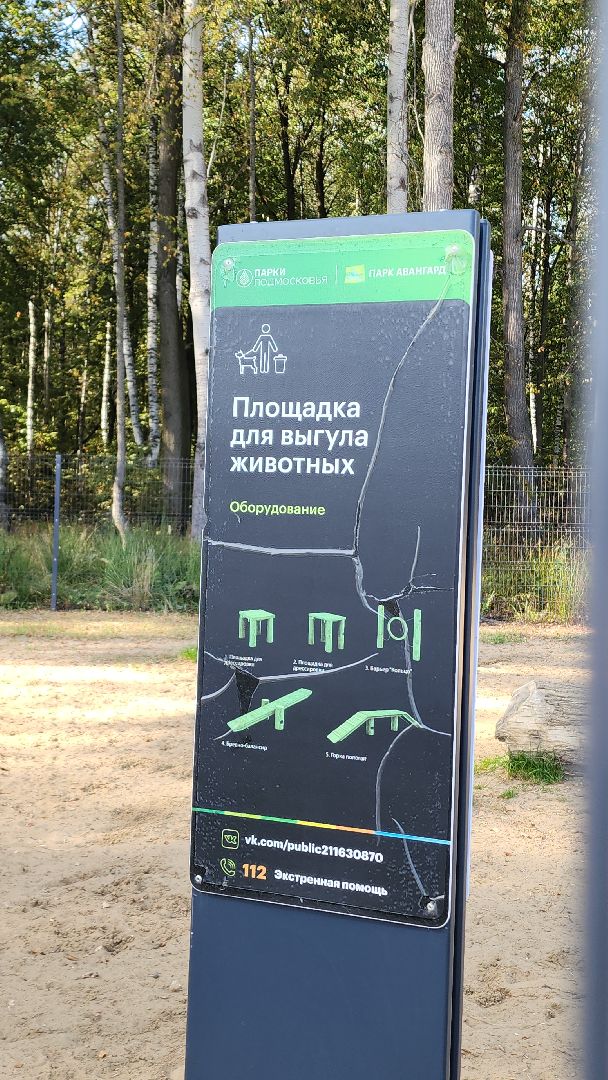 парк, парк авангард, электросталь, культура, культура и туризм в подмосковье, летний сезон, осеньвпарке, благоустройство, благоустройство 2024,