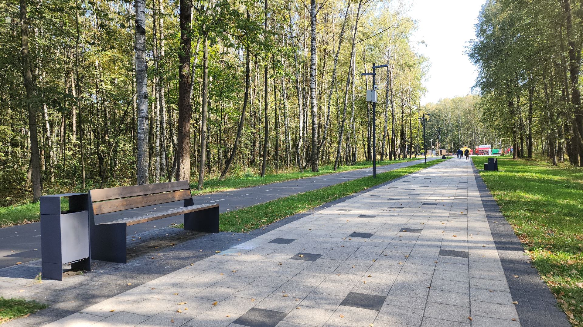 парк, парк авангард, электросталь, культура, культура и туризм в подмосковье, летний сезон, осеньвпарке, благоустройство, благоустройство 2024,