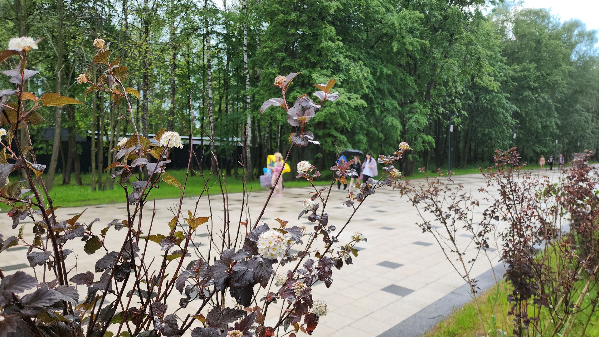 парк, парк авангард, электросталь, культура, культура и туризм в подмосковье, летний сезон, осеньвпарке, благоустройство, благоустройство 2024,