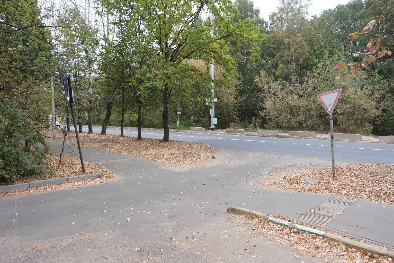 общество, Лыткарино, выездная администрация,