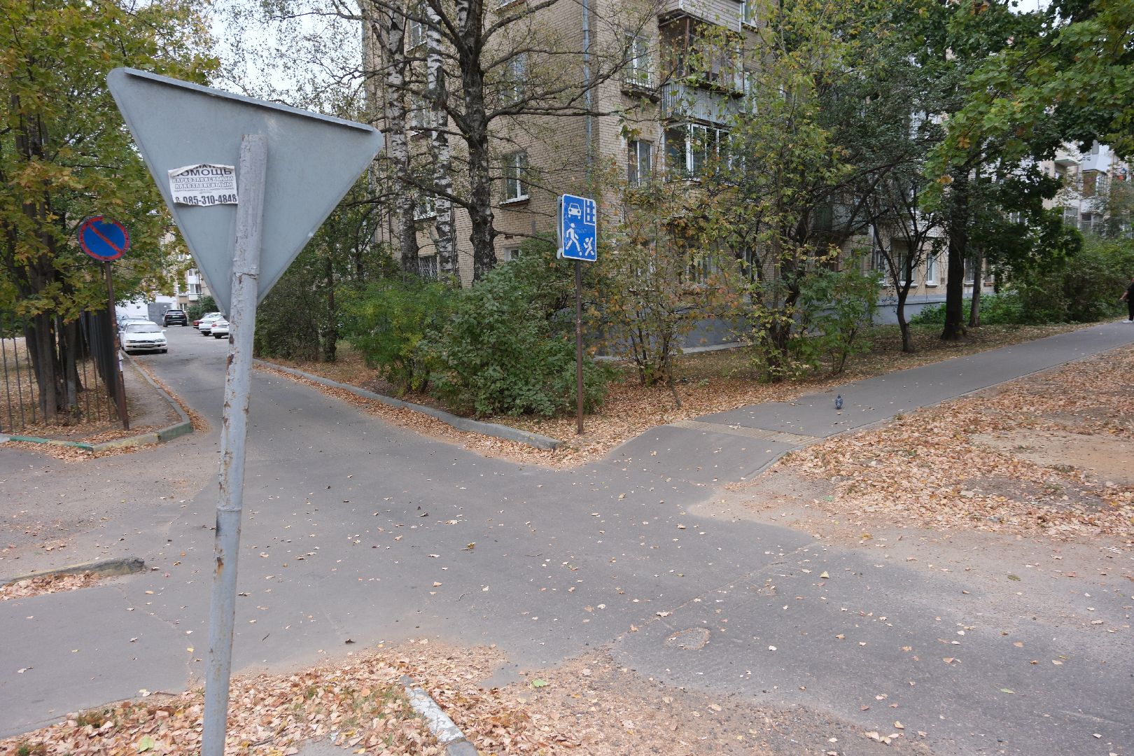 общество, Лыткарино, выездная администрация,