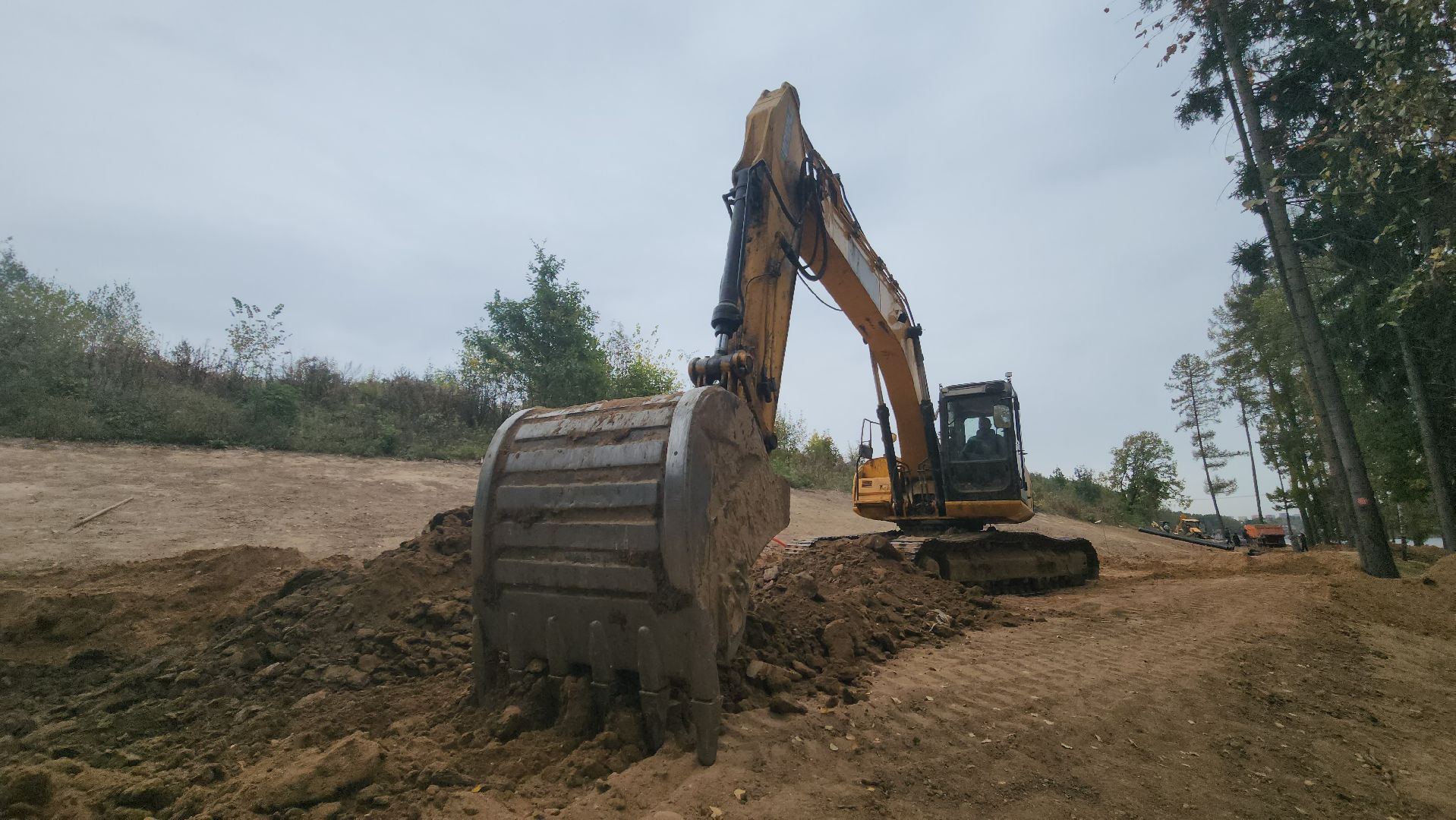 красногорск, плотина, пляж,синичка,