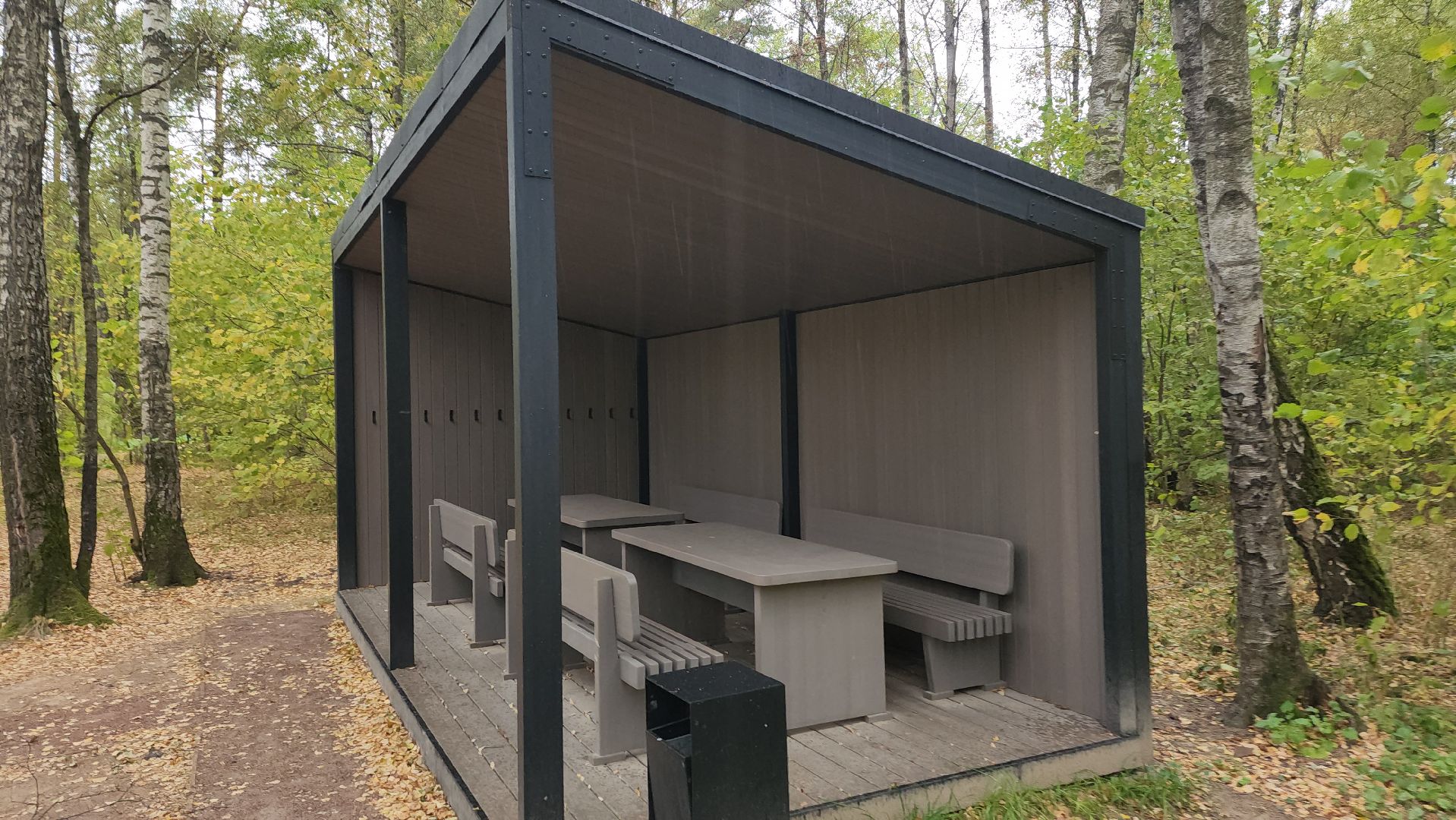 одинцово, парк малевича, благоустройство,