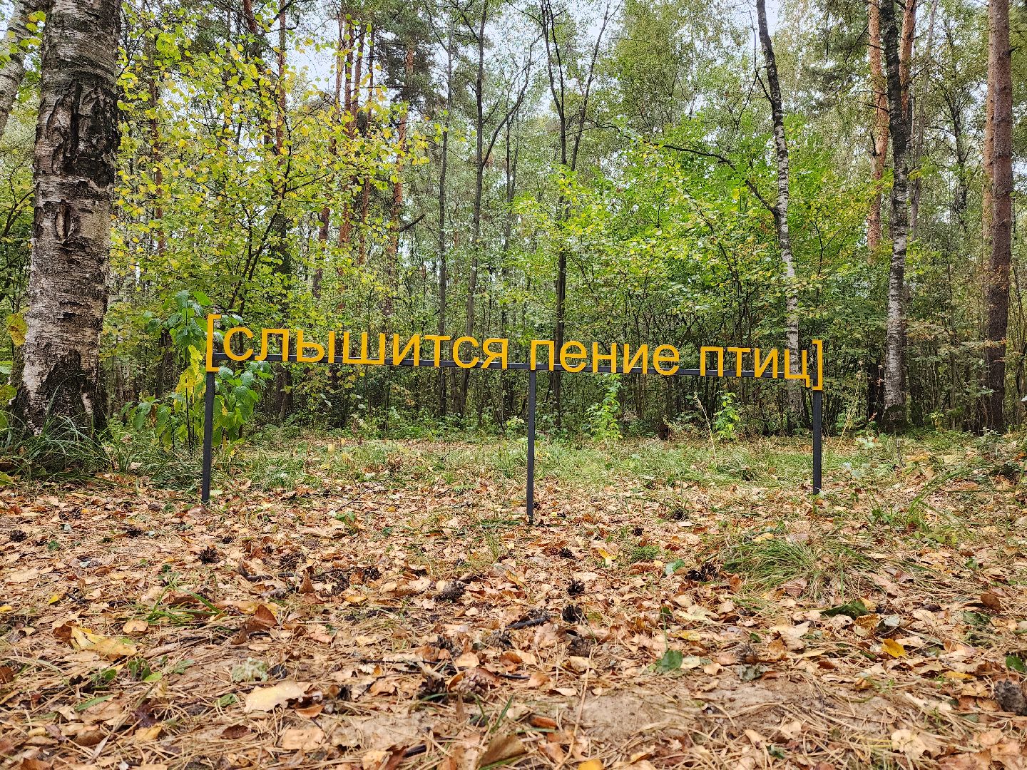 одинцово, парк малевича, благоустройство,