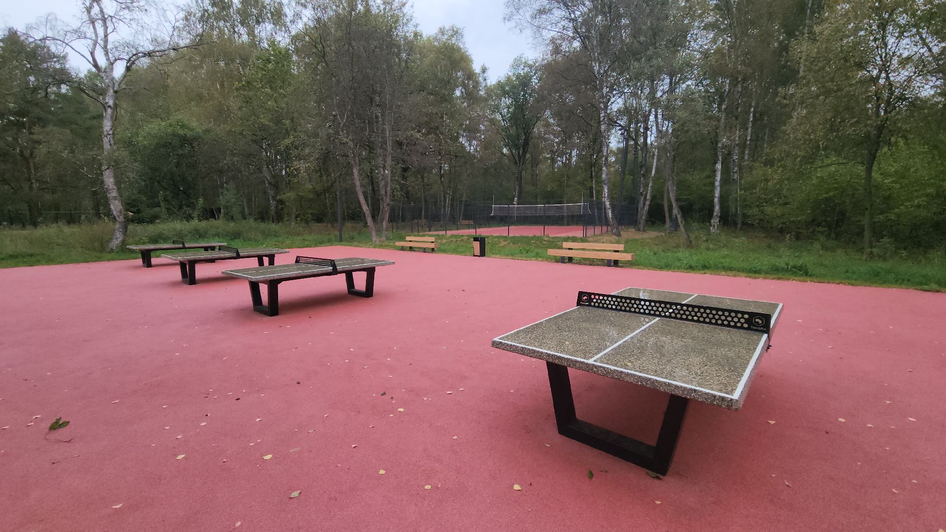 одинцово, парк малевича, благоустройство,