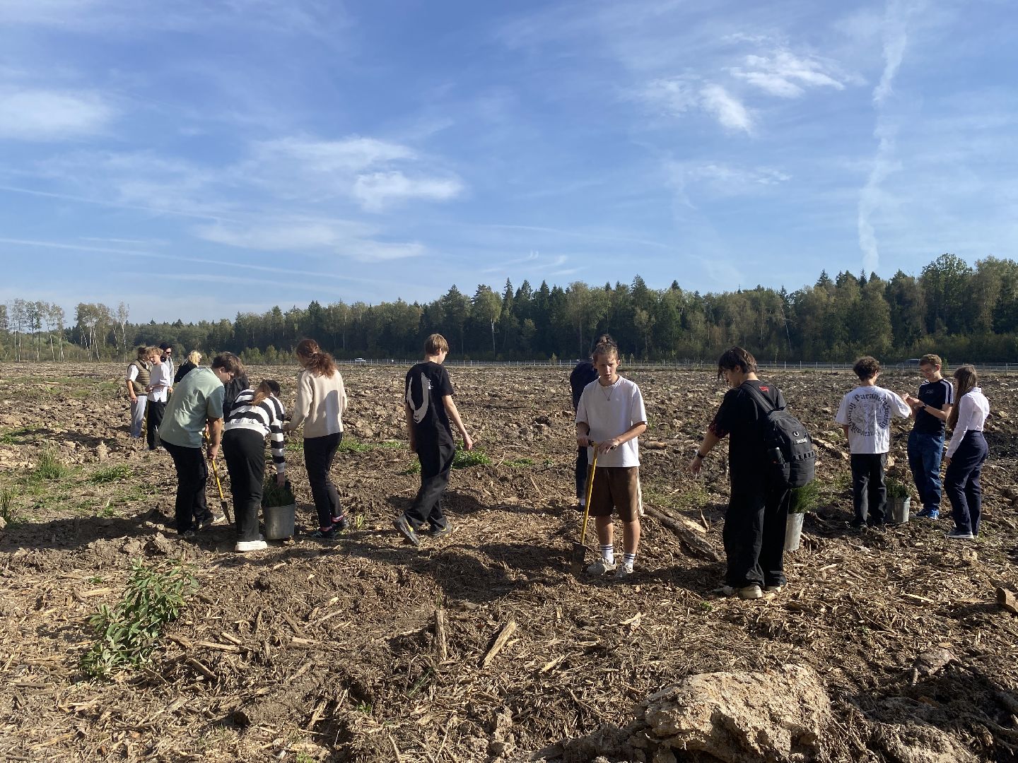 компенсационная посадка деревьев, Пионерское лесничество, Зеленое единство России, Россия - мои горизонты, высадка деревьев Власиха,