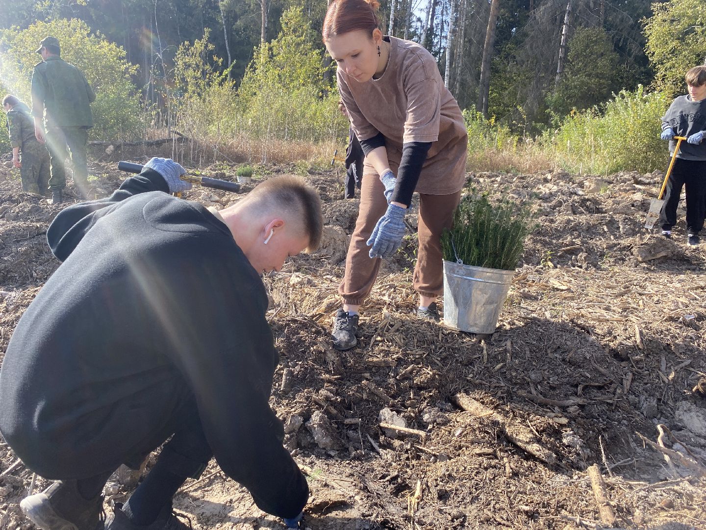 компенсационная посадка деревьев, Пионерское лесничество, Зеленое единство России, Россия - мои горизонты, высадка деревьев Власиха,