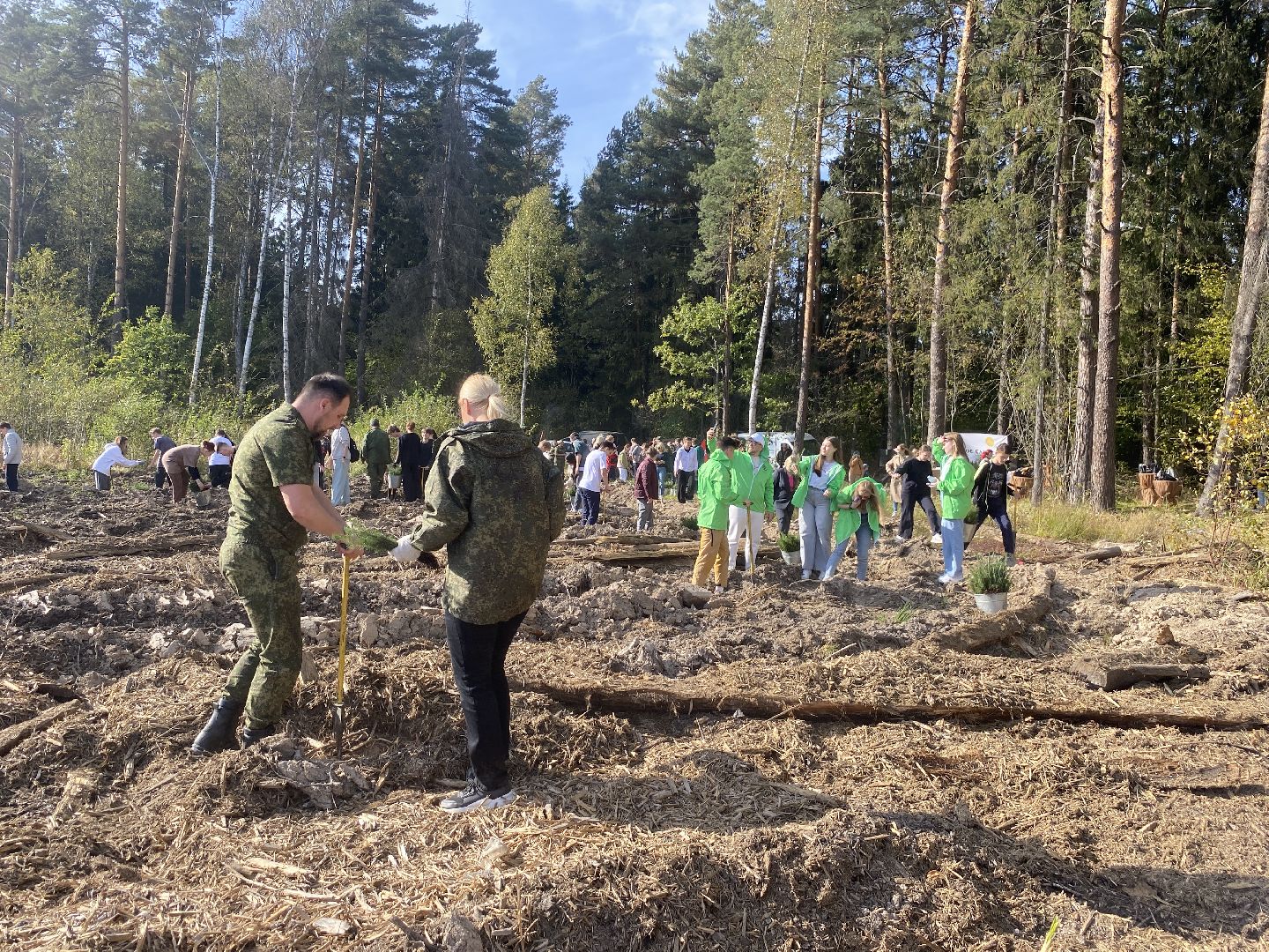 компенсационная посадка деревьев, Пионерское лесничество, Зеленое единство России, Россия - мои горизонты, высадка деревьев Власиха,