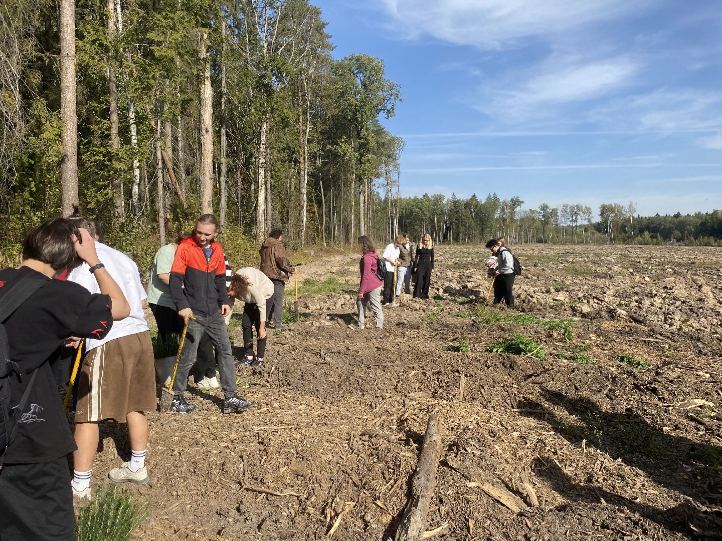 компенсационная посадка деревьев, Пионерское лесничество, Зеленое единство России, Россия - мои горизонты, высадка деревьев Власиха,