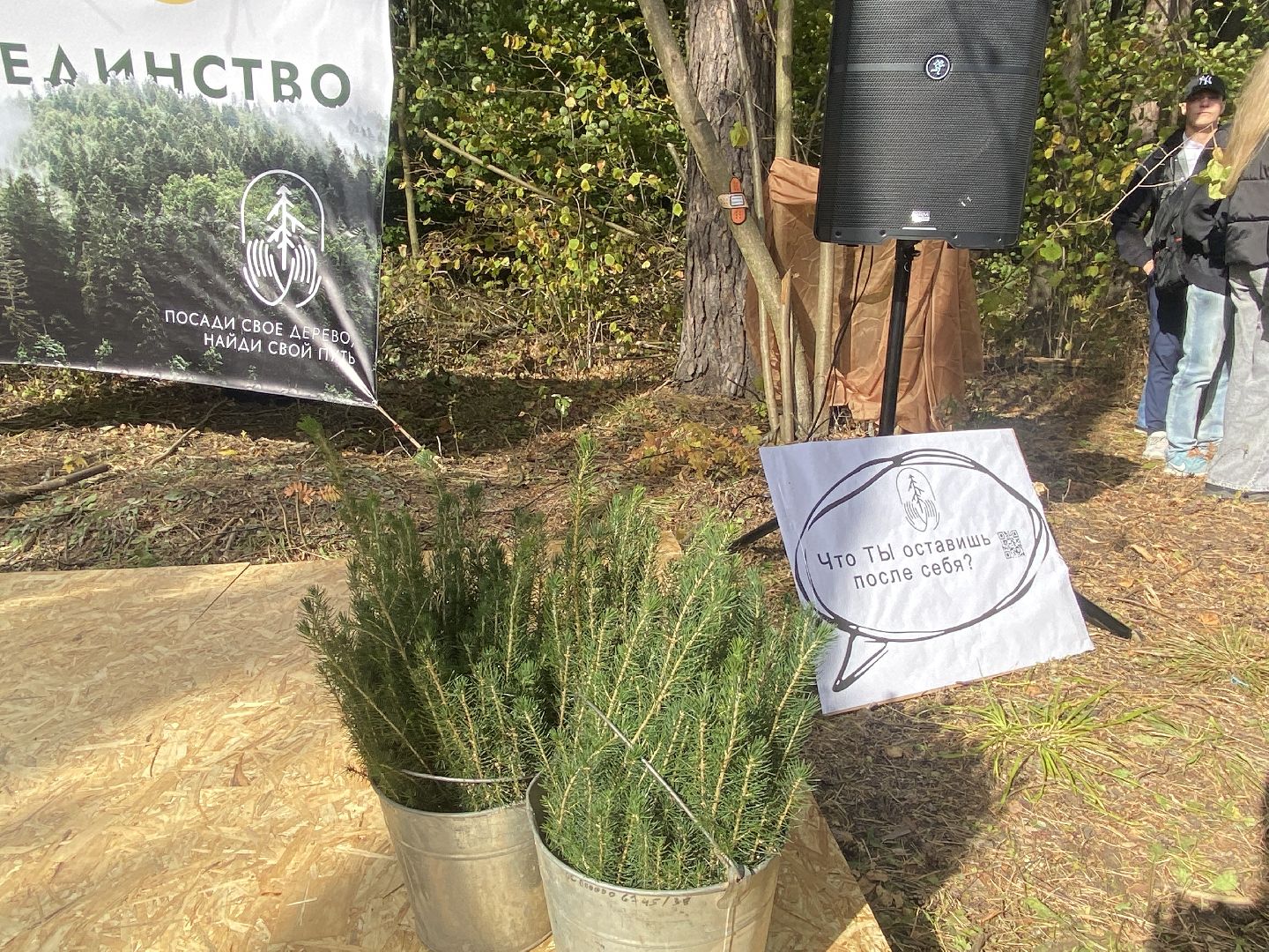 компенсационная посадка деревьев, Пионерское лесничество, Зеленое единство России, Россия - мои горизонты, высадка деревьев Власиха,