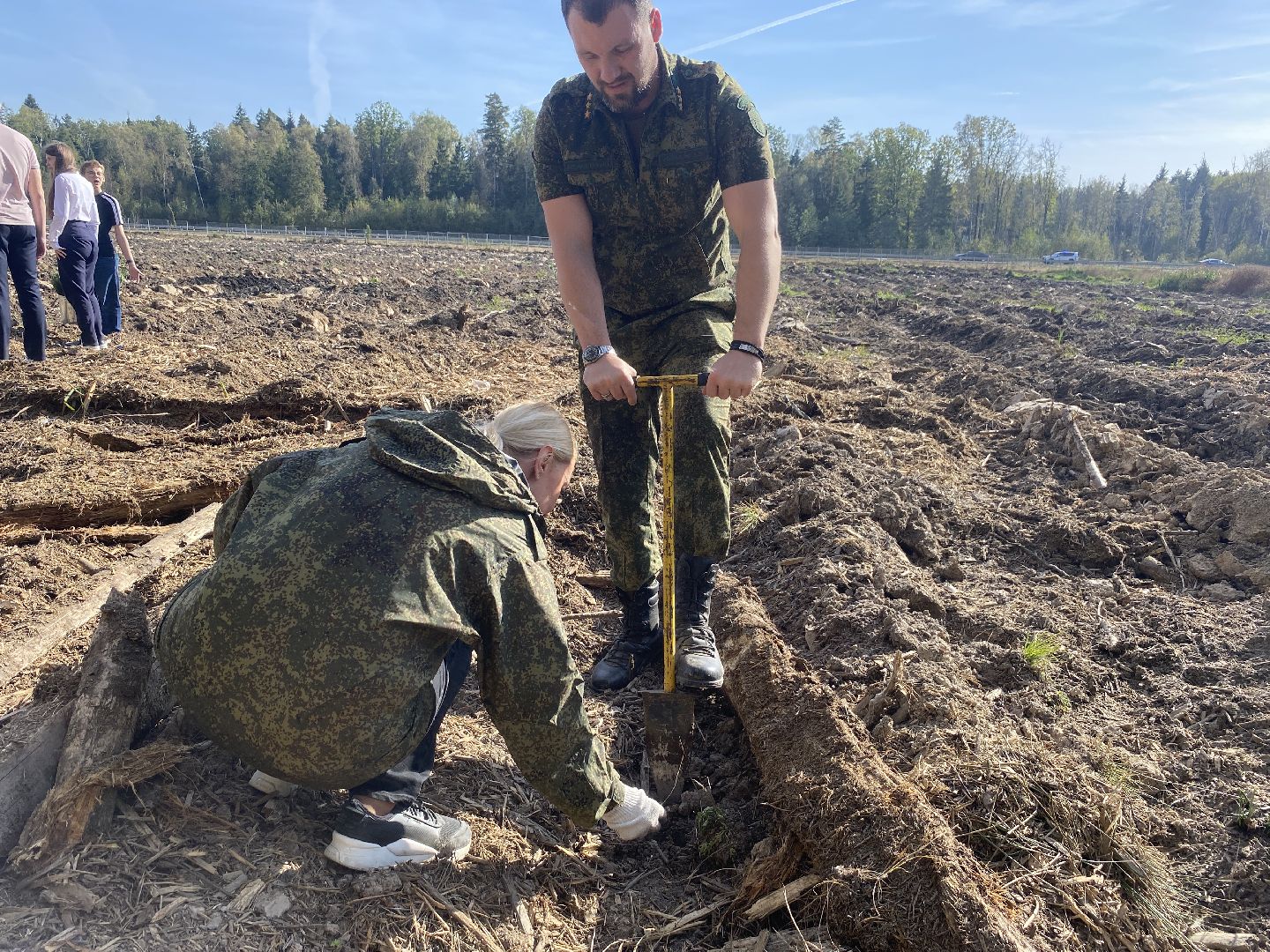 компенсационная посадка деревьев, Пионерское лесничество, Зеленое единство России, Россия - мои горизонты, высадка деревьев Власиха,