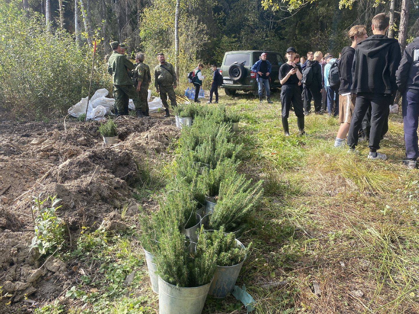 компенсационная посадка деревьев, Пионерское лесничество, Зеленое единство России, Россия - мои горизонты, высадка деревьев Власиха,