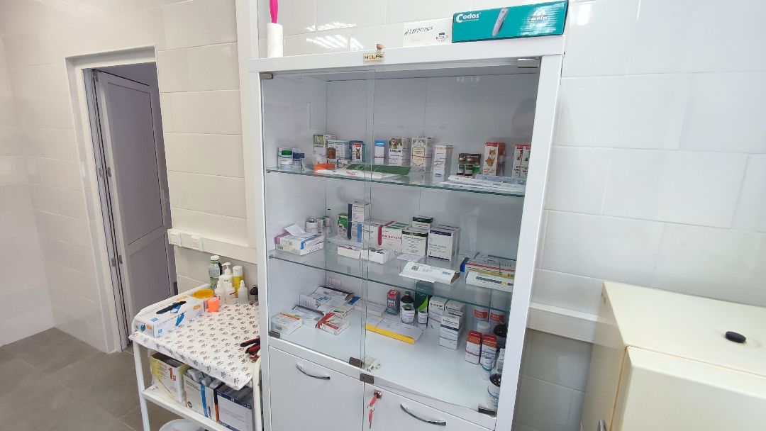 Кашира, общество