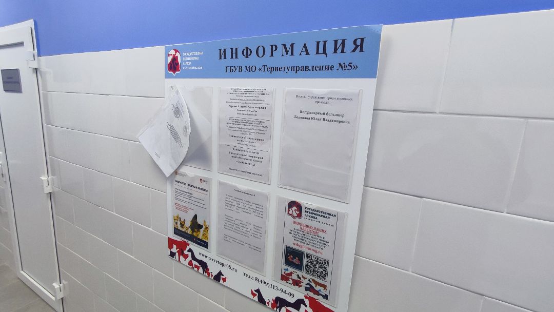 Кашира, общество