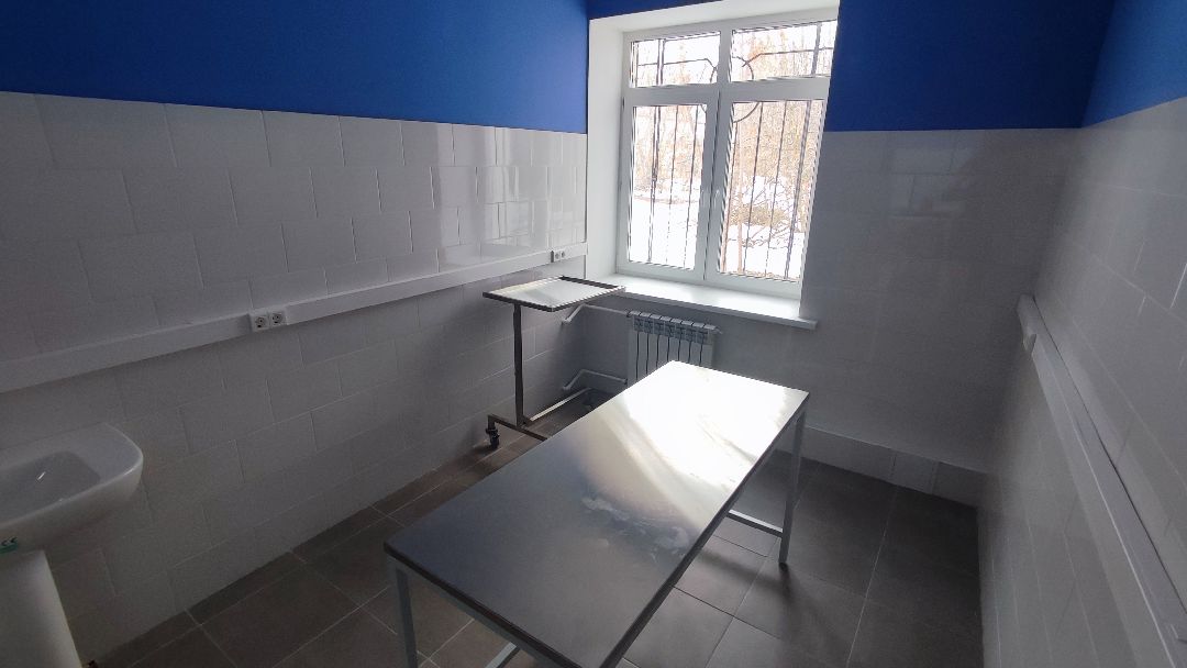 Кашира, общество