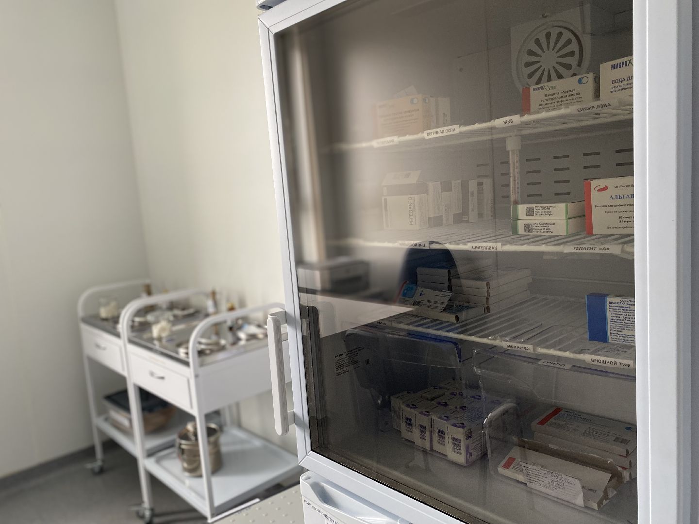 Коломна, Медицина, вакцинация, вакцина от гриппа, поликлиника подлипки,