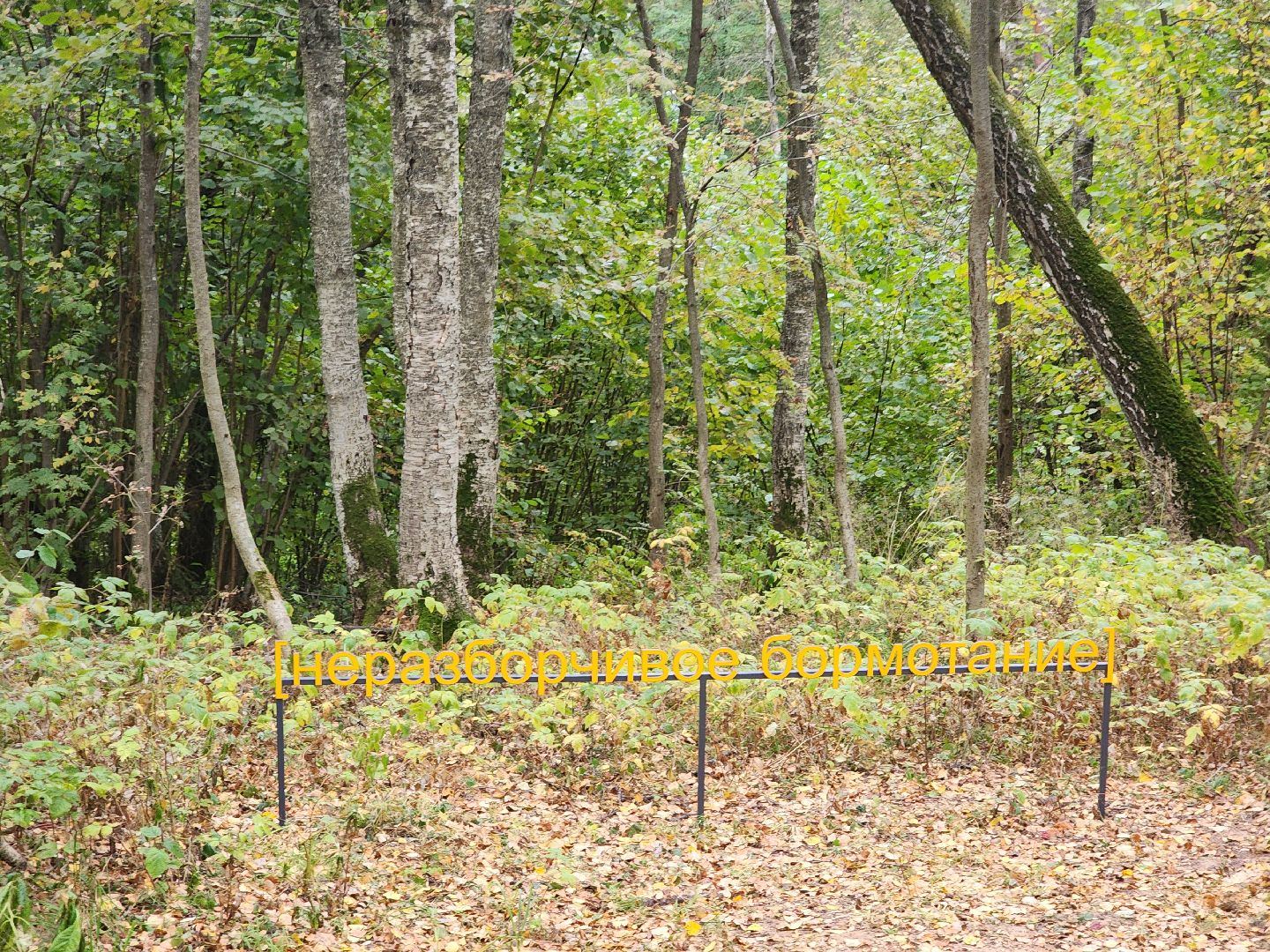 одинцово, благоустройство, искусство, парк малевича, мишмаш,