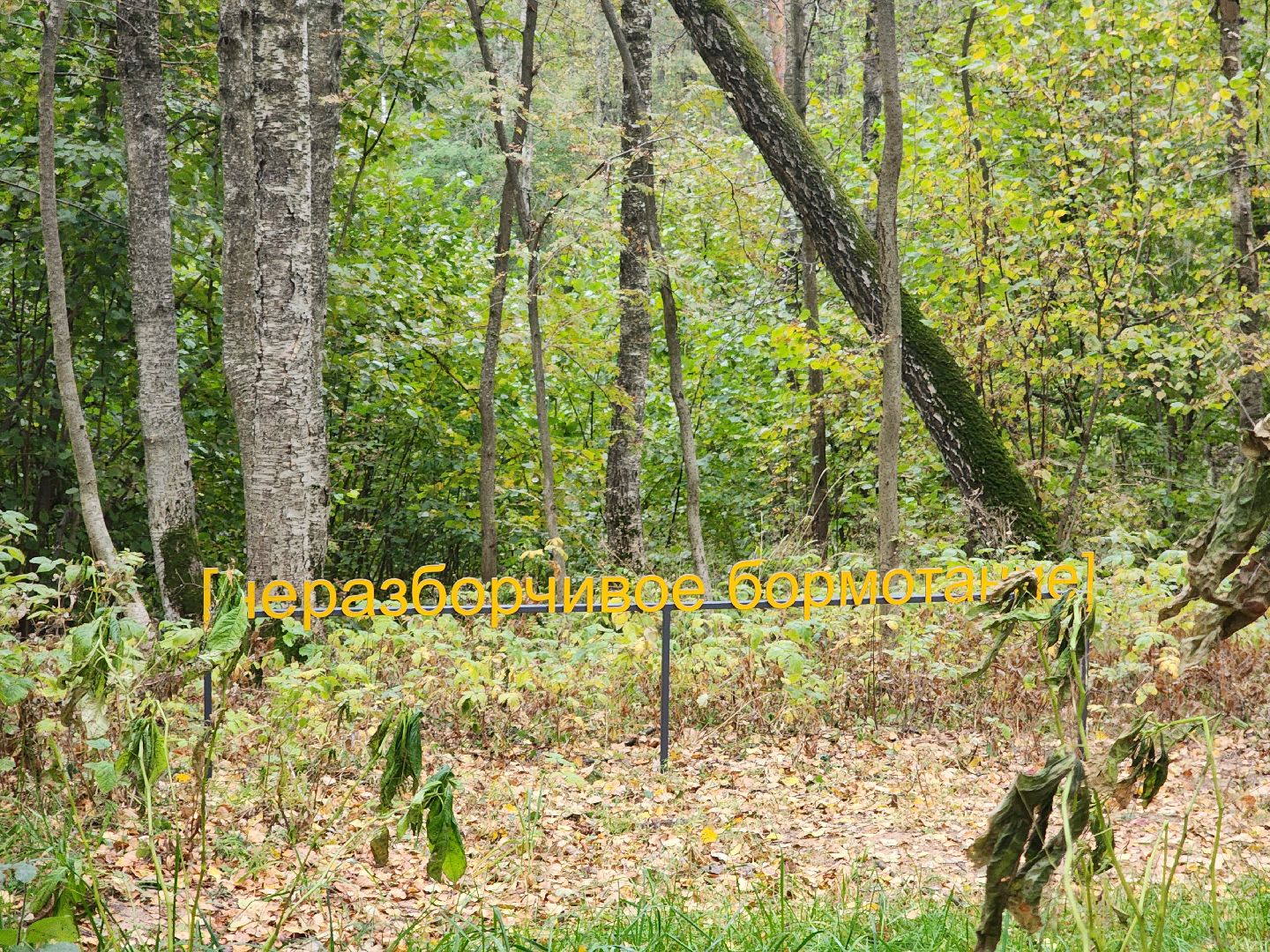 одинцово, благоустройство, искусство, парк малевича, мишмаш,