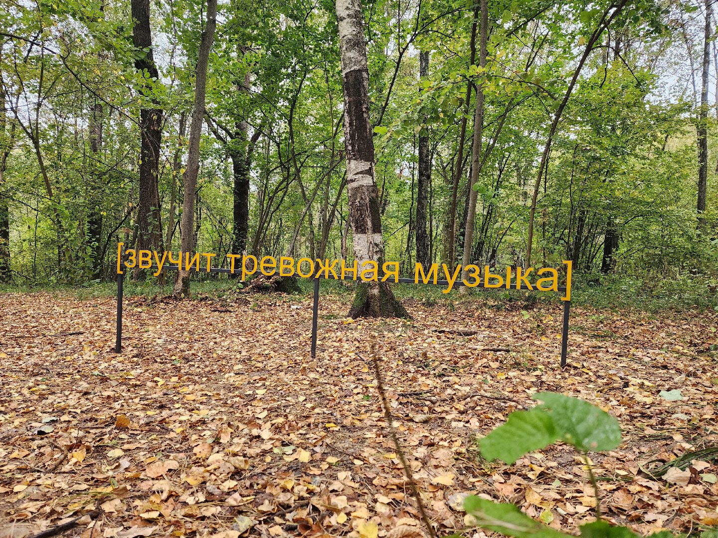 одинцово, благоустройство, искусство, парк малевича, мишмаш,