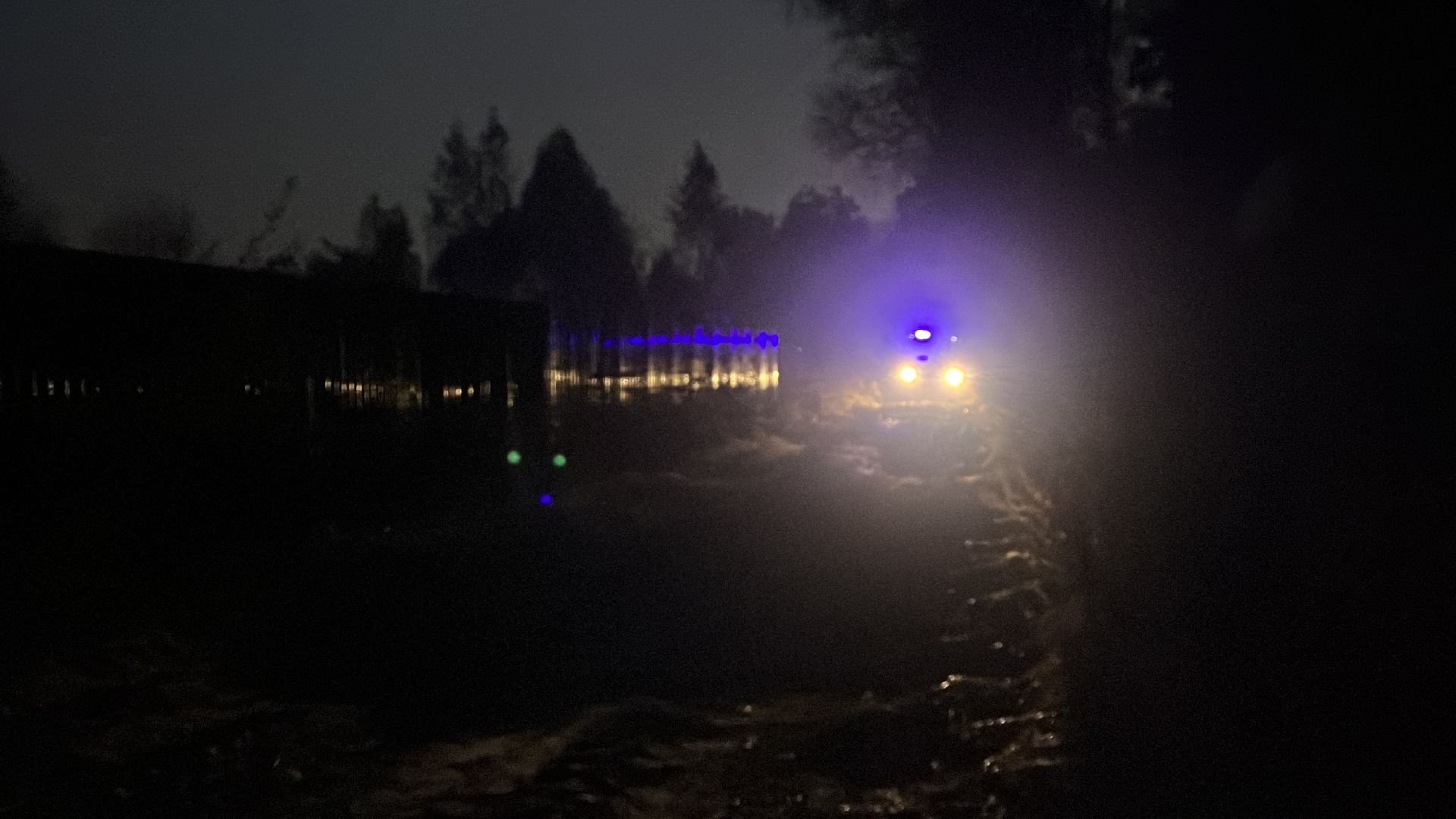 пожар в балашихе, лесной пожар, мчс, комлесхоз,