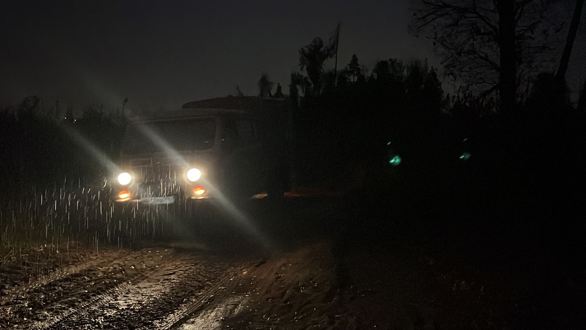 пожар в балашихе, лесной пожар, мчс, комлесхоз,