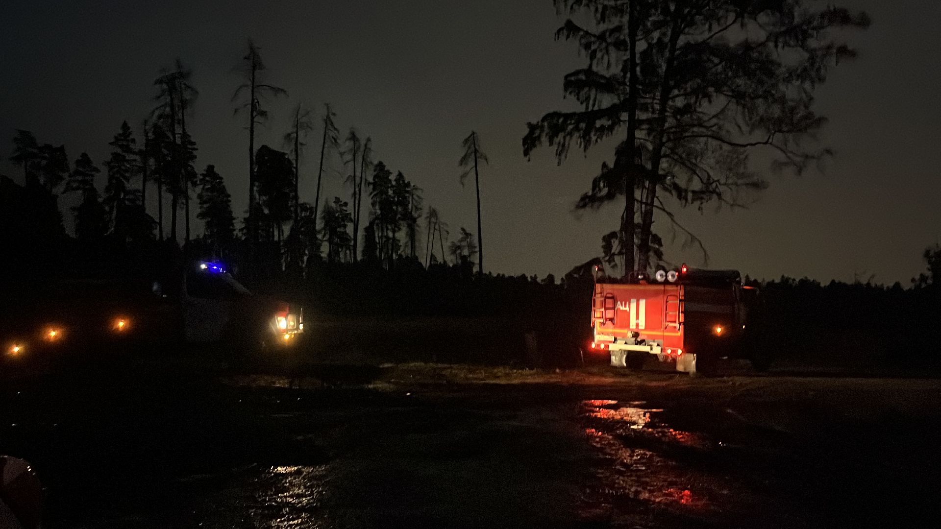 пожар в балашихе, лесной пожар, мчс, комлесхоз,