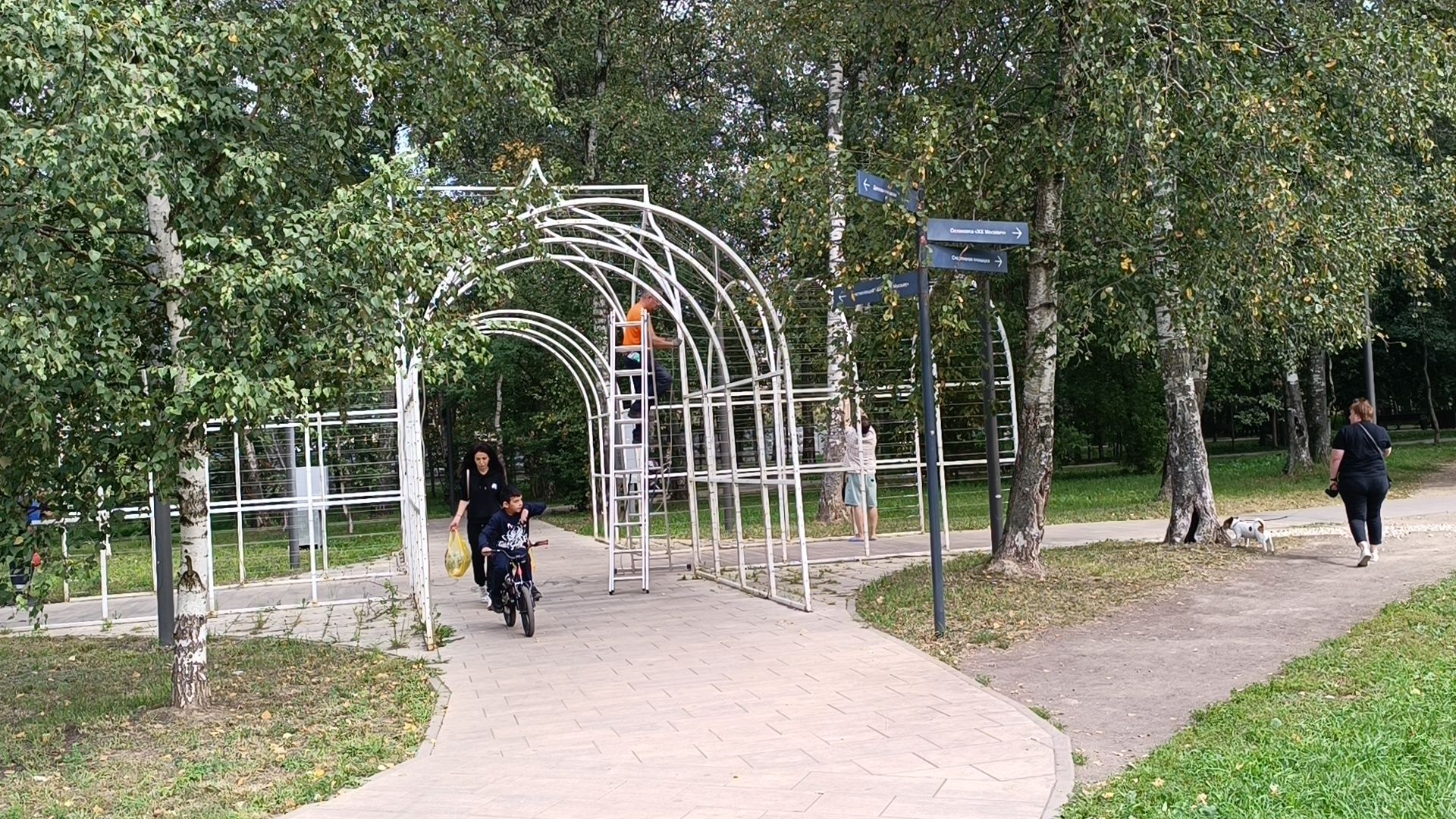 парк, лобня, храм, подсветка,