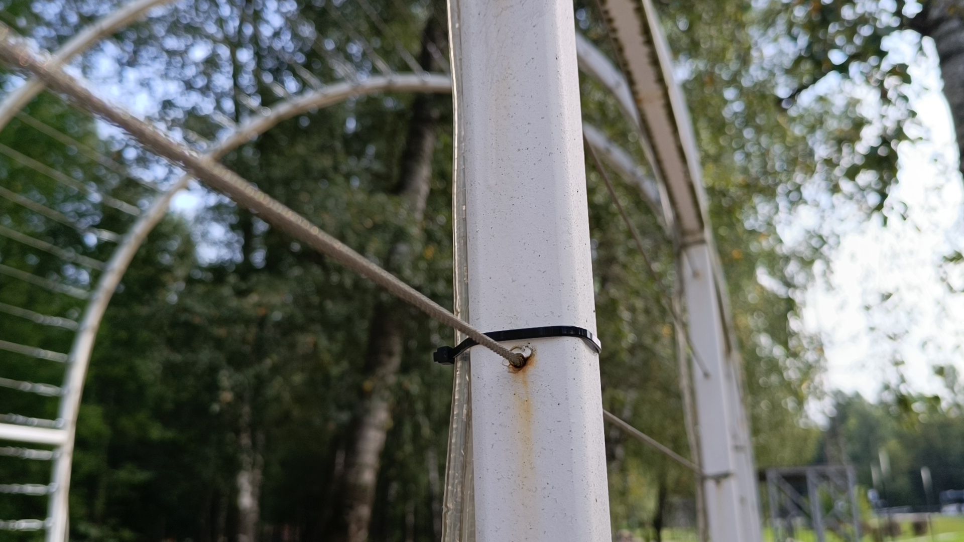 парк, лобня, храм, подсветка,