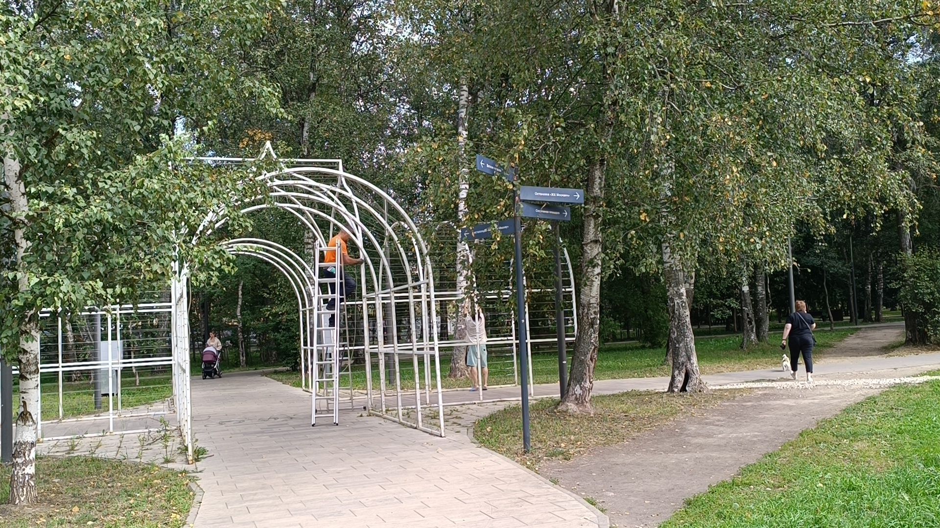 парк, лобня, храм, подсветка,