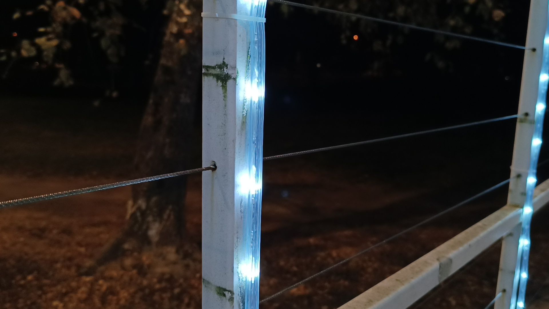 парк, лобня, храм, подсветка,