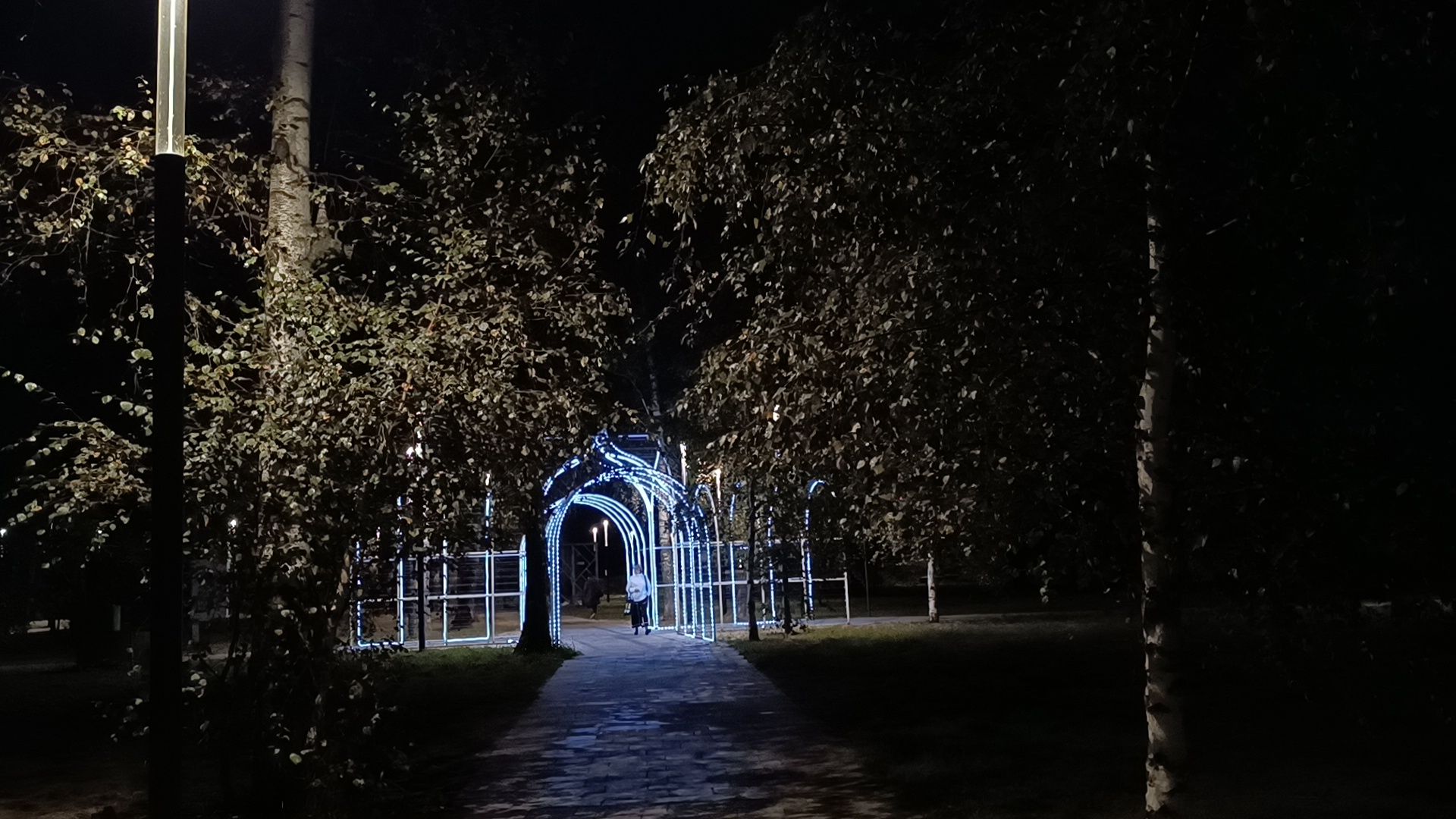 парк, лобня, храм, подсветка,