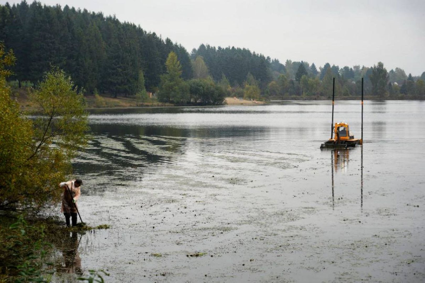 Парки МО, Парки Подмосковья, Лесопарк, Загорское море, Сергиев Посад, Экология, Очистка прудов и озер,