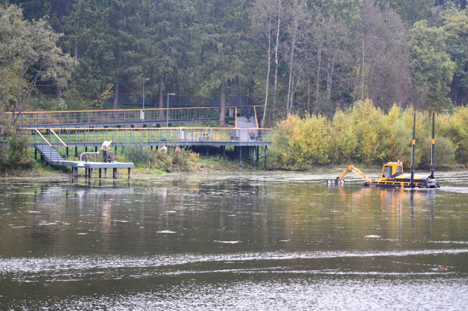 Парки МО, Парки Подмосковья, Лесопарк, Загорское море, Сергиев Посад, Экология, Очистка прудов и озер,